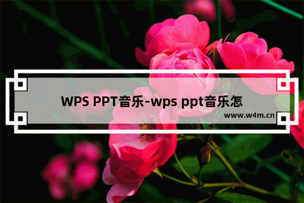 WPS PPT音乐-wps ppt音乐怎么去掉