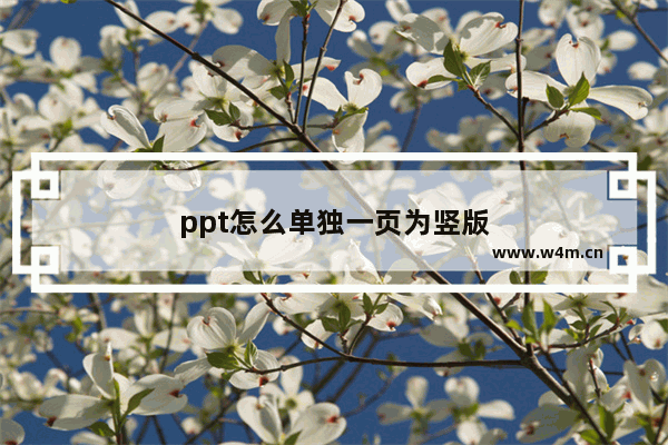 ppt怎么单独一页为竖版