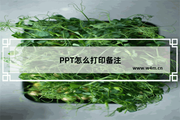 PPT怎么打印备注