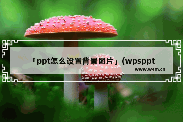 「ppt怎么设置背景图片」(wpsppt怎么设置背景图片)