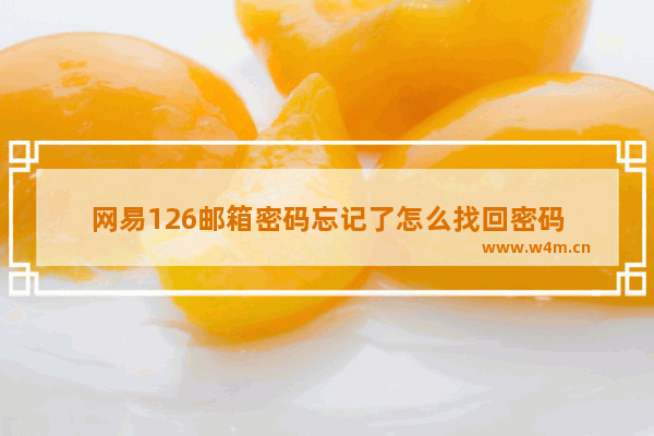 网易126邮箱密码忘记了怎么找回密码