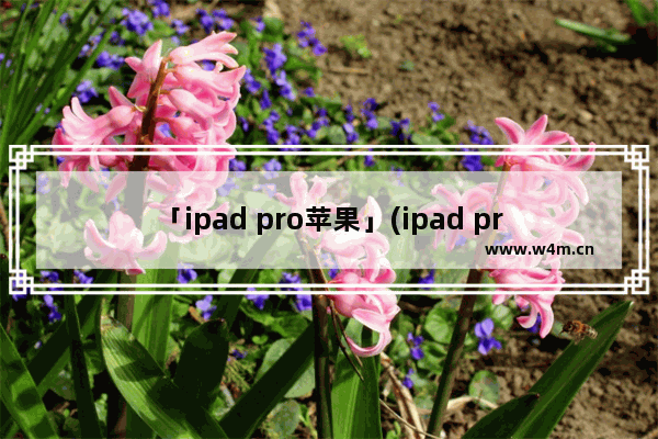 「ipad pro苹果」(ipad pro苹果官网北京地区几天到货)