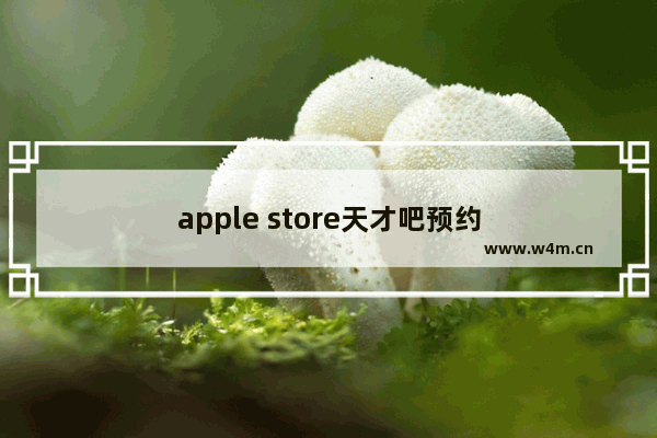 apple store天才吧预约