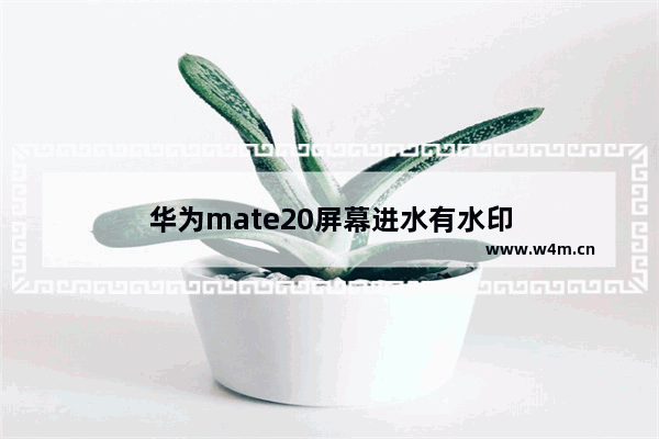 华为mate20屏幕进水有水印