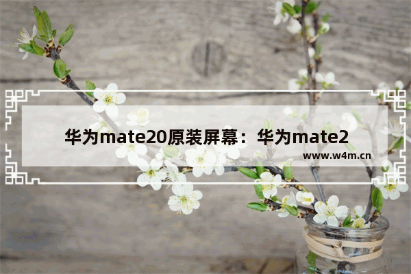 华为mate20原装屏幕：华为mate20原装屏幕价格