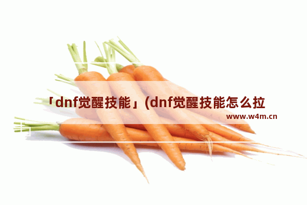 「dnf觉醒技能」(dnf觉醒技能怎么拉到技能栏)