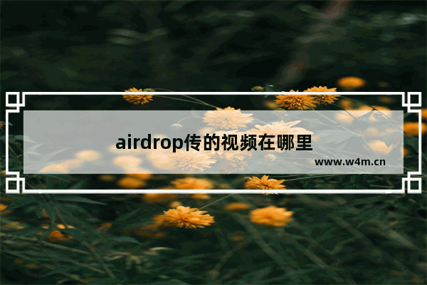 airdrop传的视频在哪里