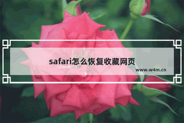 safari怎么恢复收藏网页