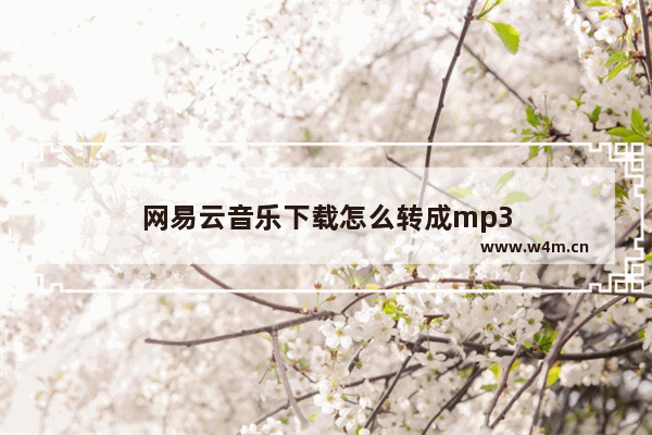 网易云音乐下载怎么转成mp3