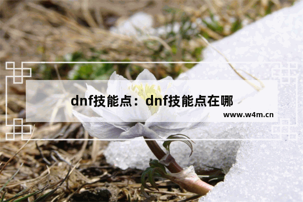 dnf技能点：dnf技能点在哪