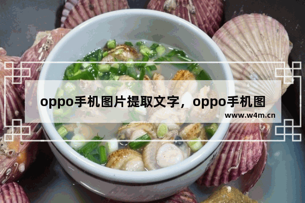 oppo手机图片提取文字，oppo手机图片提取文字在哪儿