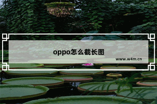 oppo怎么截长图