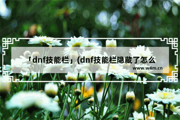 「dnf技能栏」(dnf技能栏隐藏了怎么显示)