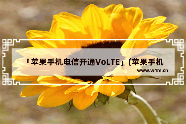 「苹果手机电信开通VoLTE」(苹果手机电信开通volte怎么开通)