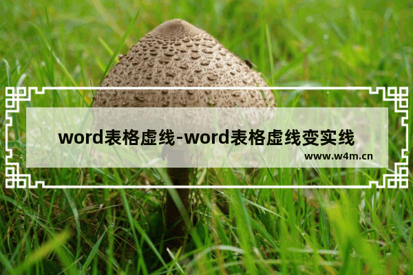 word表格虚线-word表格虚线变实线