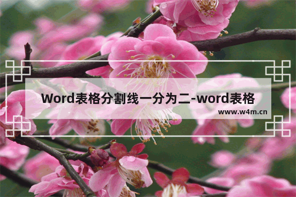 Word表格分割线一分为二-word表格分割线一分为二中间虚线打印时怎么打印出来