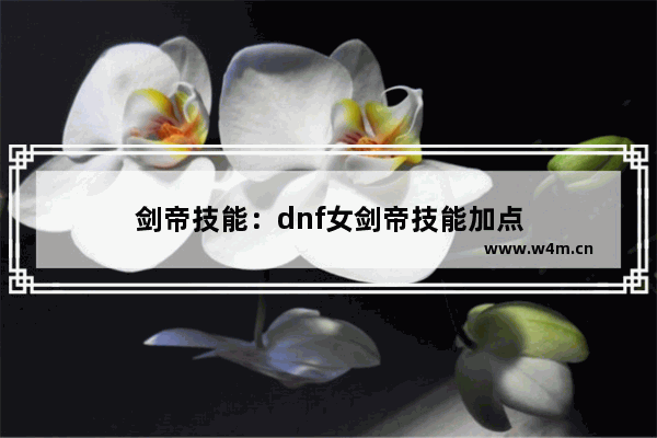 剑帝技能：dnf女剑帝技能加点