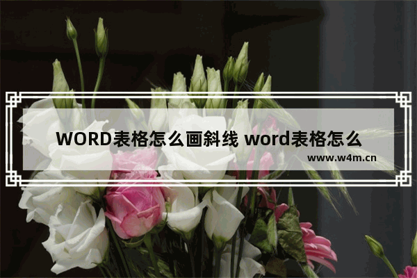 WORD表格怎么画斜线 word表格怎么画斜线表头