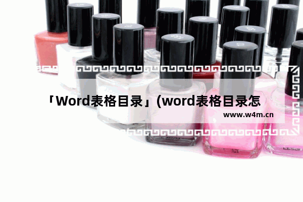 「Word表格目录」(word表格目录怎么自动生成)