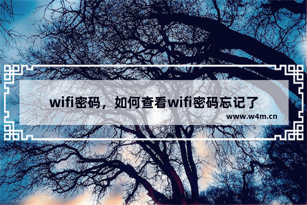 wifi密码，如何查看wifi密码忘记了怎么办