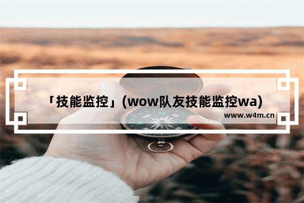 「技能监控」(wow队友技能监控wa)