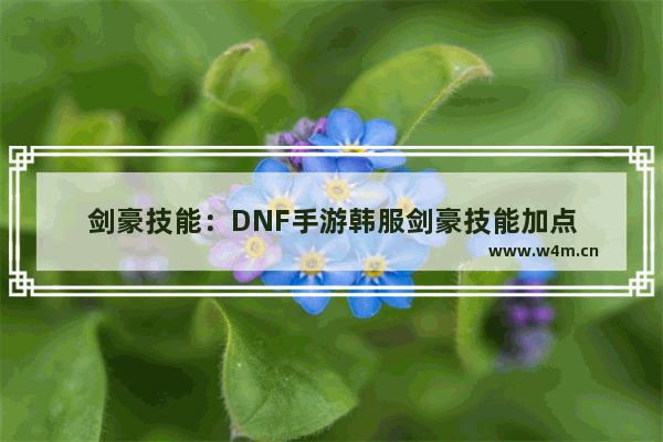 剑豪技能：DNF手游韩服剑豪技能加点