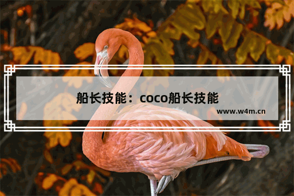 船长技能：coco船长技能