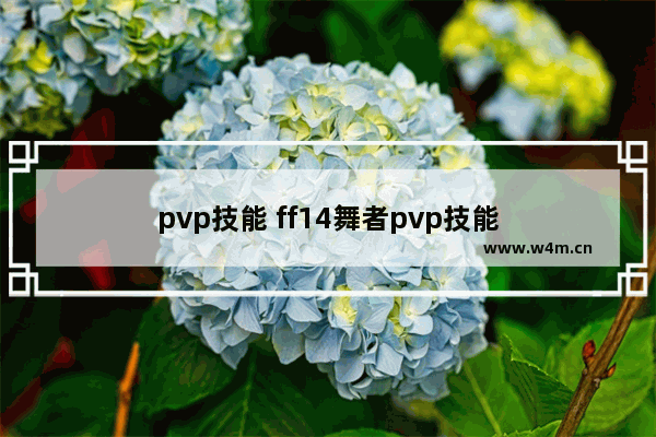 pvp技能 ff14舞者pvp技能