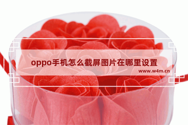 oppo手机怎么截屏图片在哪里设置