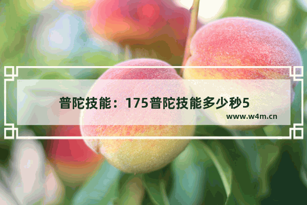 普陀技能：175普陀技能多少秒5