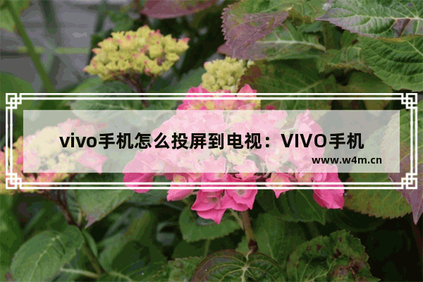 vivo手机怎么投屏到电视：VIVO手机怎么投屏到电视上去