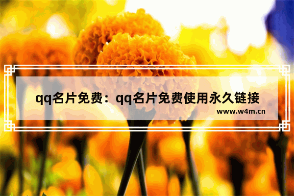 qq名片免费：qq名片免费使用永久链接