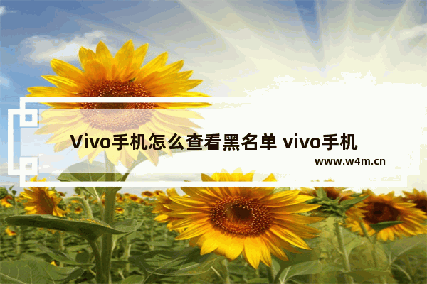 Vivo手机怎么查看黑名单 vivo手机怎么查看黑名单拦截