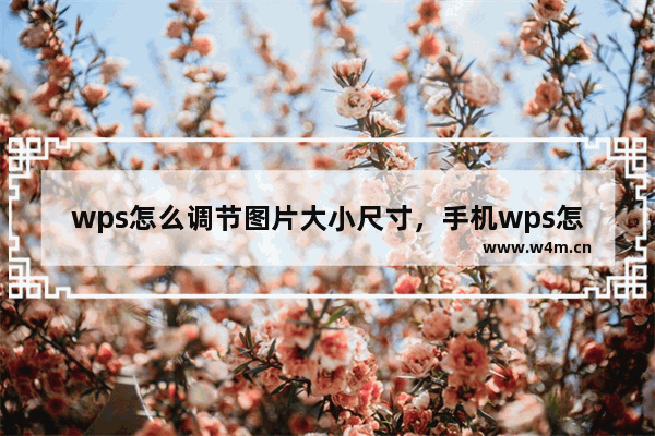 wps怎么调节图片大小尺寸，手机wps怎么调节图片大小尺寸