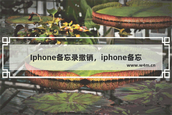 Iphone备忘录撤销，iphone备忘录撤销键