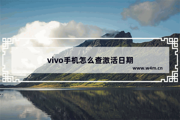 vivo手机怎么查激活日期