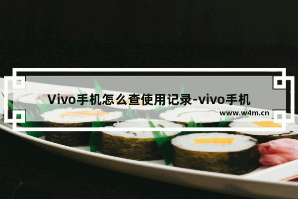 Vivo手机怎么查使用记录-vivo手机怎么查使用记录?