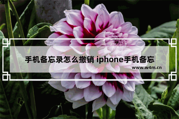 手机备忘录怎么撤销 iphone手机备忘录怎么撤销