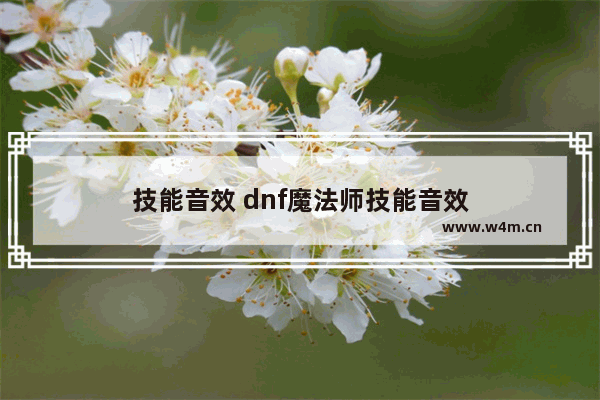 技能音效 dnf魔法师技能音效