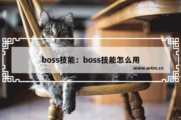 boss技能：boss技能怎么用