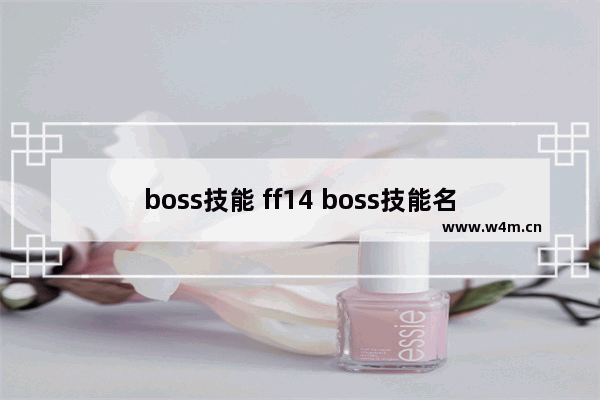 boss技能 ff14 boss技能名