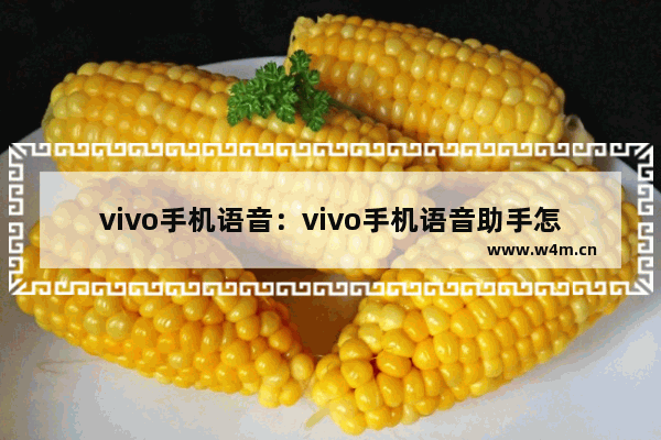 vivo手机语音：vivo手机语音助手怎么设置唤醒语音