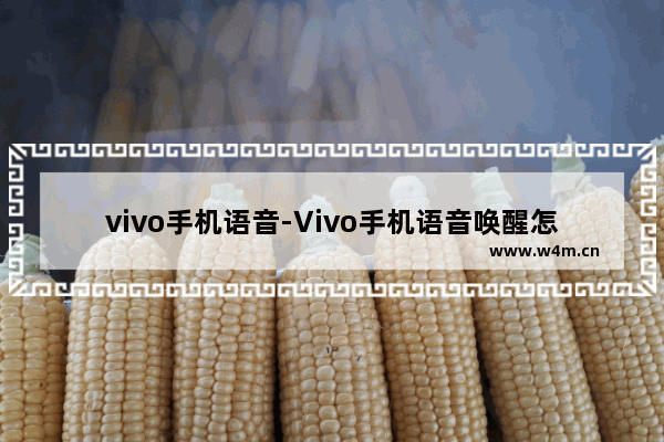 vivo手机语音-Vivo手机语音唤醒怎么说