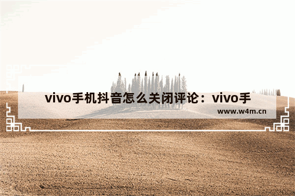 vivo手机抖音怎么关闭评论：vivo手机抖音怎么关闭评论别人看不见