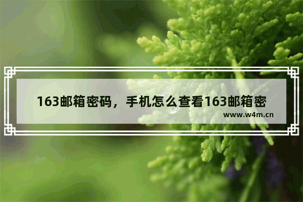 163邮箱密码，手机怎么查看163邮箱密码