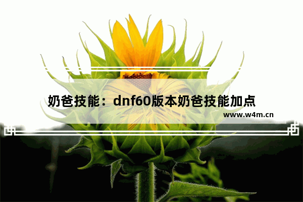 奶爸技能：dnf60版本奶爸技能加点