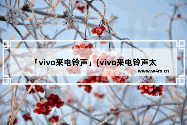 「vivo来电铃声」(vivo来电铃声太小怎么办)