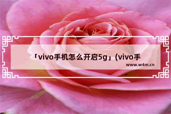 「vivo手机怎么开启5g」(vivo手机怎么开启5g开关)