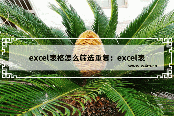 excel表格怎么筛选重复：excel表格怎么筛选重复名字并计数