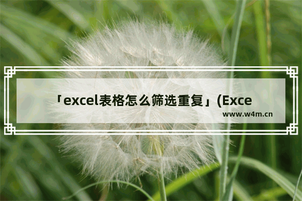 「excel表格怎么筛选重复」(Excel表格怎么筛选重复值)